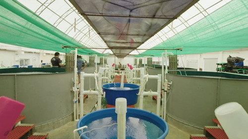 Impossible Repairs Season 1 Episode 5 - Deep Sea Fish Delivery