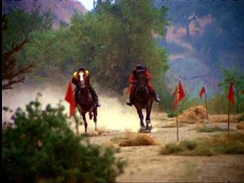undefined Season 1 Episode 9 - The Horse Race