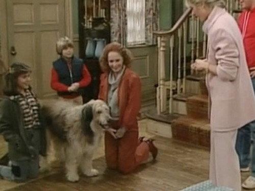 Who's the Boss? Season 1 Episode 16 - Angela's Ex (2)
