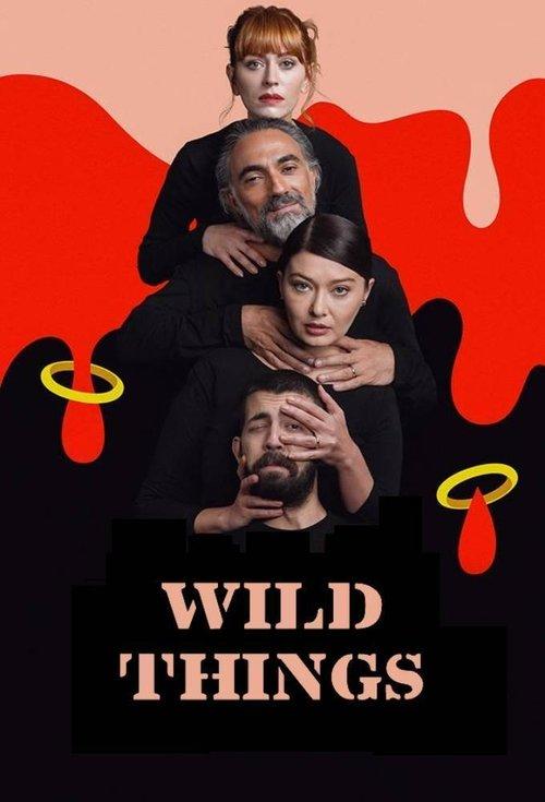 Wild Things poster