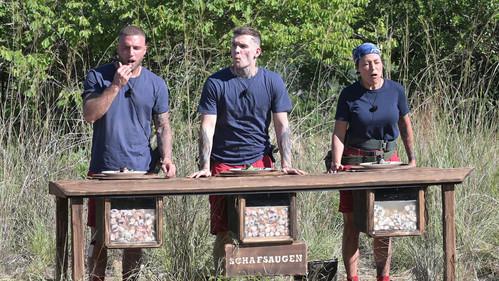 Ich bin ein Star – Holt mich hier raus! Season 15 Episode 1 - Tag 1: "Wühlen, Wissen, Würgen"