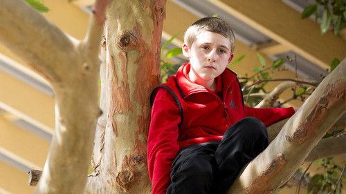 Little Lunch Season 1 Episode 14 - The Old Climbing Tree