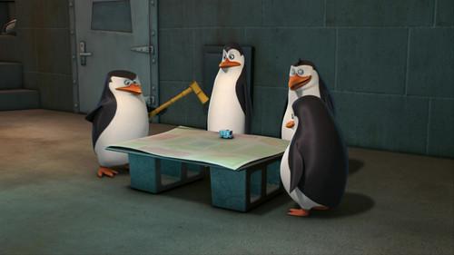 The Penguins of Madagascar Season 2 Episode 20 - April Fools