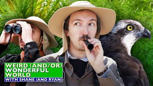 Weird (and/or) Wonderful World with Shane (and Ryan) Season 2 Episode 2 - Shane & Ryan Go Birdwatching