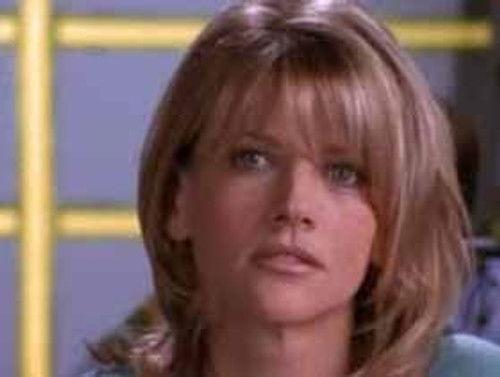 Silk Stalkings Season 6 Episode 13 - Peak Experience