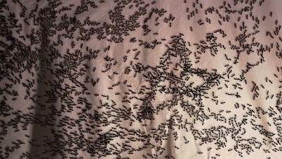 Odyssey 5 Season 1 Episode 6 - Symbiosis