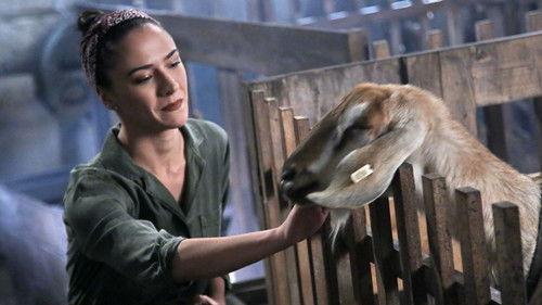 Slunečná Season 1 Episode 13 - Episode 13