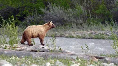 Kanadas Nationalparks Season 3 Episode 3 - Episode 3