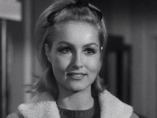 Route 66 Season 3 Episode 14 - Give an Old Cat a Tender Mouse