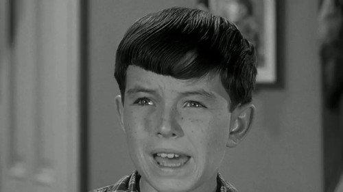Leave It to Beaver Season 4 Episode 5 - Beaver's Freckles