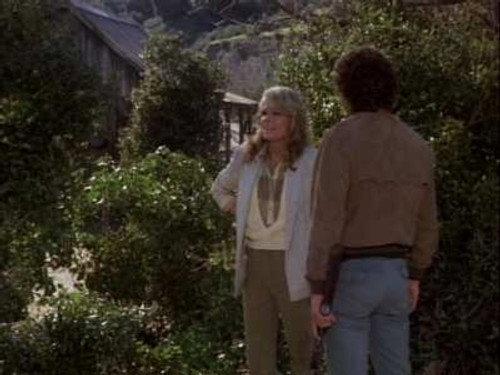 Hardcastle and McCormick Season 1 Episode 20 - The Homecoming (2)