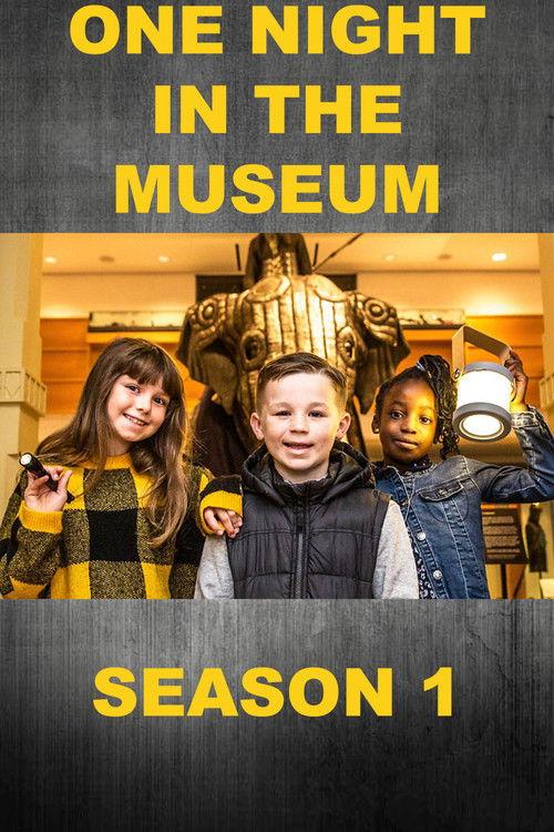 One Night in the Museum poster