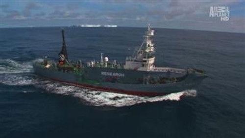 Whale Wars Season 1 Episode 2 - Nothing's Ideal