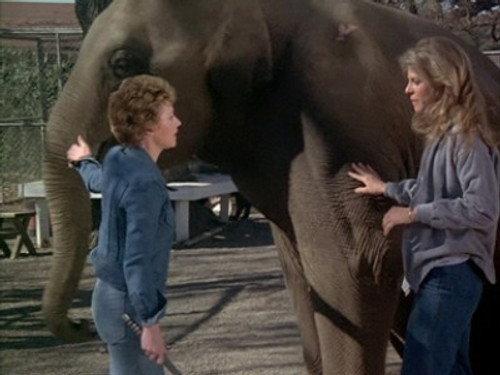 The Bionic Woman Season 1 Episode 5 - Claws