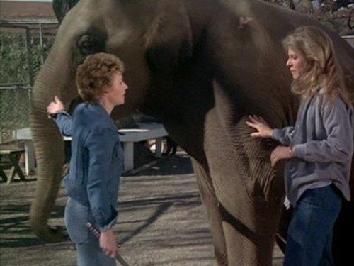 The Bionic Woman Season 1 Episode 5 - Claws