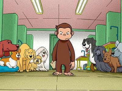 Curious George Season 1 Episode 17 - Curious George, Dog Counter