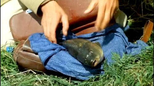 Chalupáři Season 1 Episode 2 - Episode 2