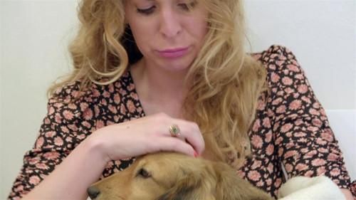 Bondi Vet: Coast to Coast Season 1 Episode 1 - Puppy Palooza