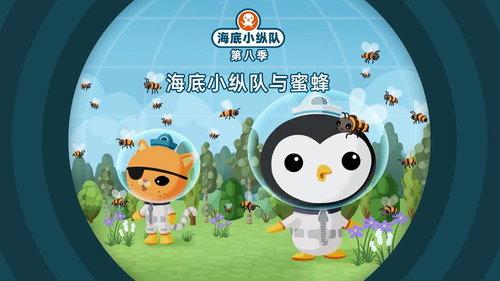 Octonauts Season 8 Episode 12 - Episode 12