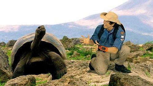 Andy's Wild Adventures Season 2 Episode 2 - Giant Tortoises