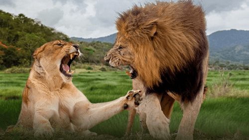 Dawn to Dusk Season 1 Episode 4 - Episode 4