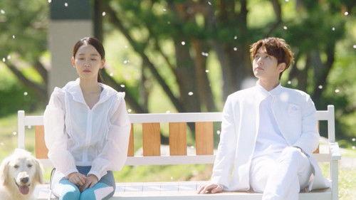 Angel's Last Mission: Love Season 1 Episode 1 - Yeon-seo Fails to Receive the Cornea Donation