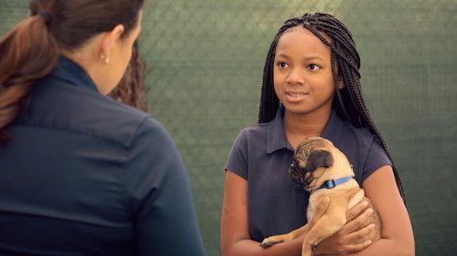 Puppy Place Season 1 Episode 5 - Pugsley