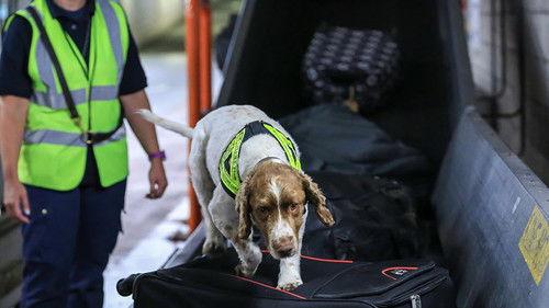 Stop, Search, Seize Season 1 Episode 11 - Episode 11