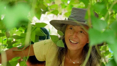 Gardening Australia Season 37 Episode 6 - Episode 6 Autumn: Organic Vegie Patch & Urban Grassland