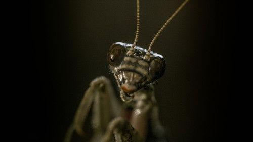 Dead By Dawn Season 1 Episode 3 - A Quiet Place