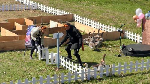 Celebrities Apart HUN Season 1 Episode 12 - Episode 12