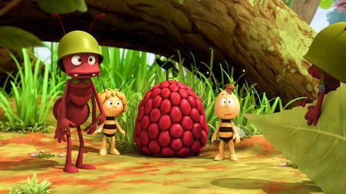 Maya the Bee Season 2 Episode 16 - Forbidden Fruit