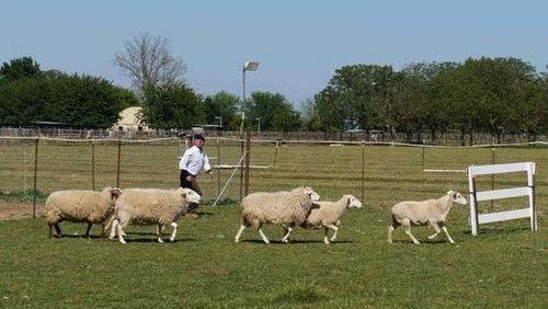MythBusters Season 12 Episode 6 - Mythssion Impossible