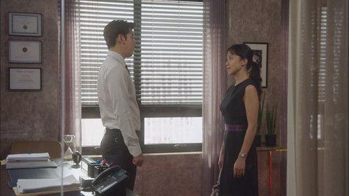 The Good Wife Season 1 Episode 14 - Episode 14