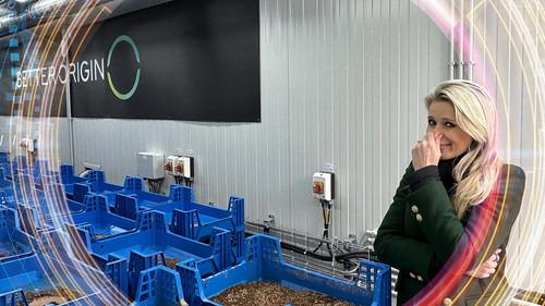 Click Season 24 Episode 11 - Bugs on the Menu