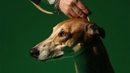 Crufts Season 15 Episode 10 - 2025 Day 4 - Part 1