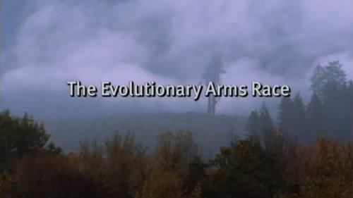 Evolution Season 1 Episode 4 - The Evolutionary Arms Race