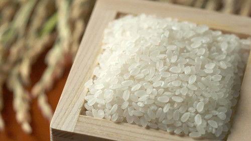 Trails to Oishii Tokyo Season 1 Episode 15 - RICE