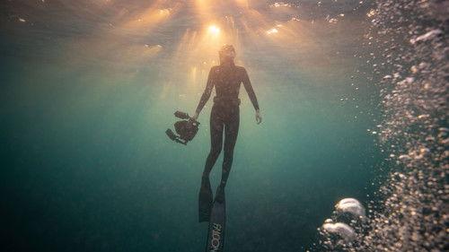 Shipwreck Hunters Australia Season 1 Episode 5 - Survivors of Stefano