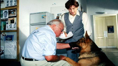 Background image for Hunt For A Corpse