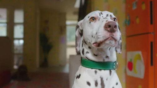 Background image for Waffle and the Good Dog