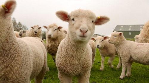 Countryfile Season 34 Episode 17 - Nidderdale