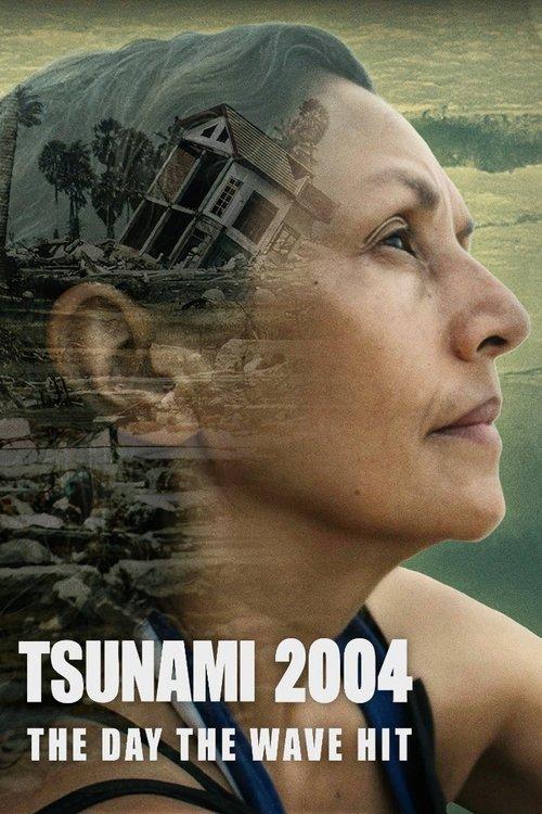 Tsunami 2004: The Day the Wave Hit poster