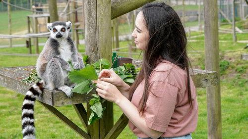 Animal Park Season 20 Episode 5 - Summer 2022: Episode 5