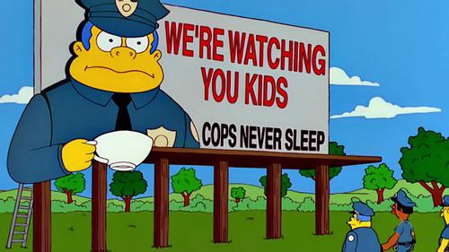 The Simpsons Season 10 Episode 11 - Wild Barts Can't Be Broken