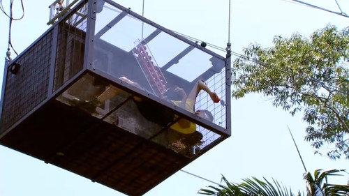 I'm a Celebrity...Get Me Out of Here! Season 19 Episode 2 - Bugged Off