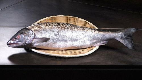 Trails to Oishii Tokyo Season 3 Episode 8 - SALMON