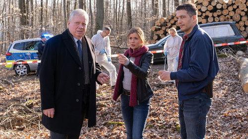 Der Staatsanwalt Season 17 Episode 3 - Episode 3