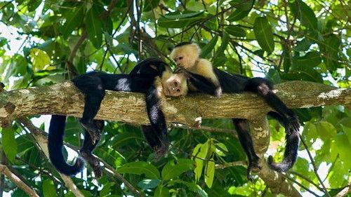 Background image for Social Networkers