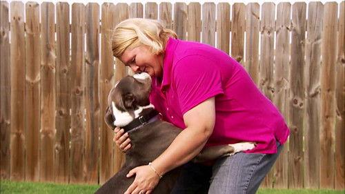 Pit Bulls and Parolees Season 5 Episode 9 - Can't Give Up